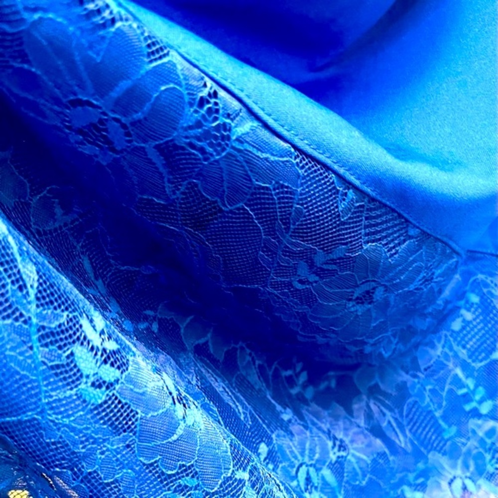 Royal Blue Sleeveless Lace Dress - Picture 7 of 9